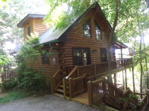 House In cherry Log